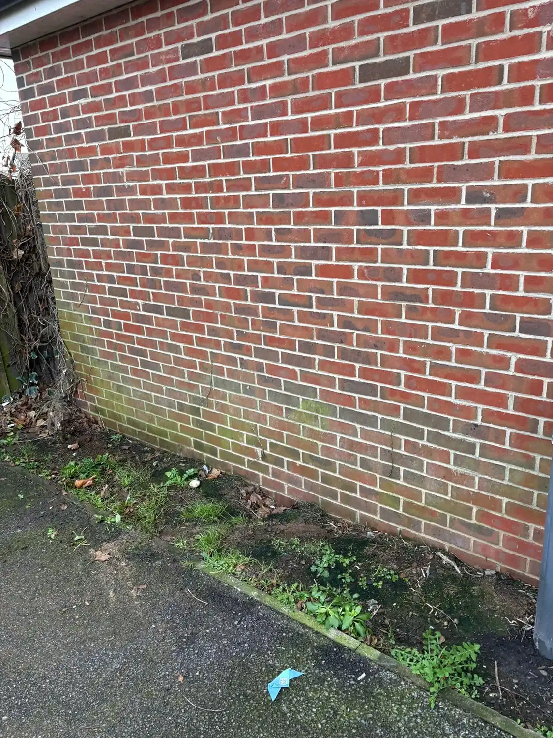 Brick wall with cleared borders