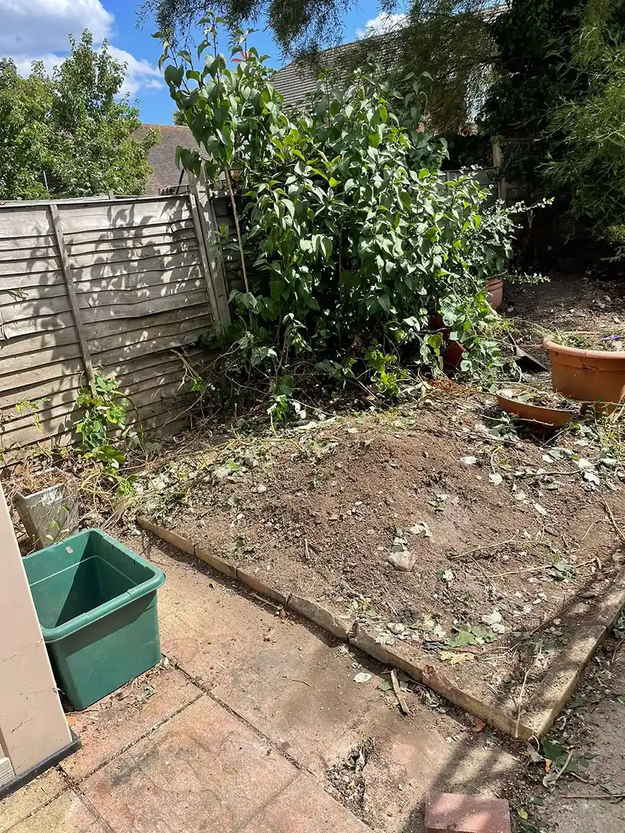 A garden with a lot of dirt and plants.