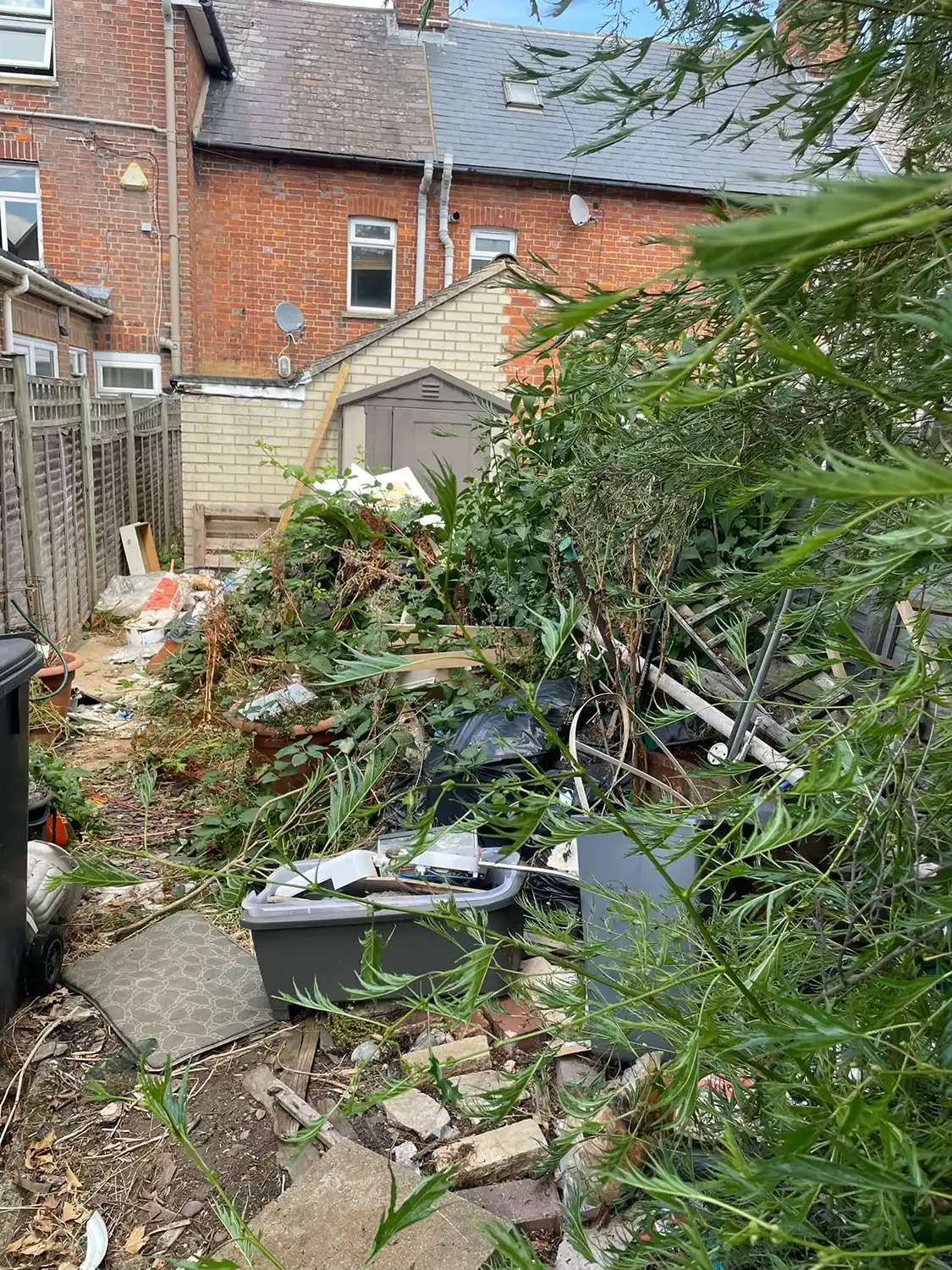 A back garden with a rubbish bin.